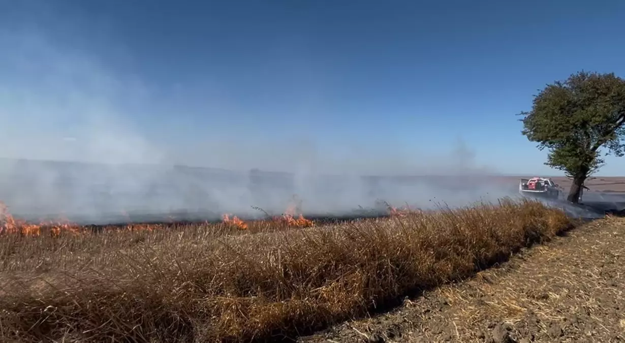 corluda aniz yangini kontrol altina alindi Ms5E8PVm