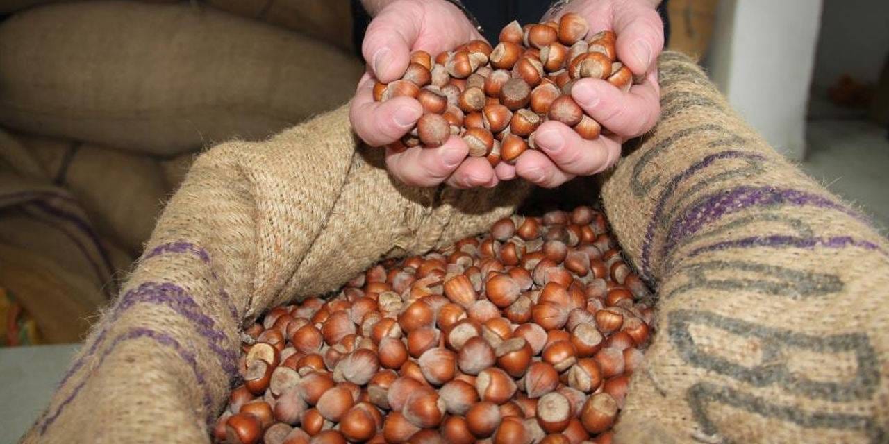 findiktan 1 milyar 610 milyon 163 bin gelir zwc4NpTv.jpg