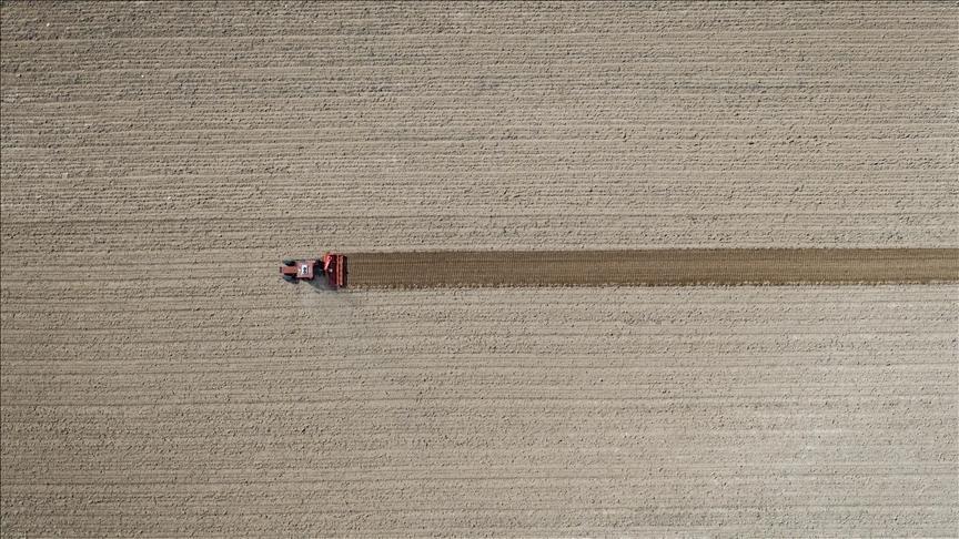 tarim ufe eylulde artti P4vQw5xP.jpg