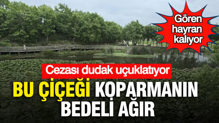 goren-hayran-kaliyor-bu-cicegi-koparmanin-bedeli-agir-cezasi-dudak-ucuklatiyor-VxAdBxLF
