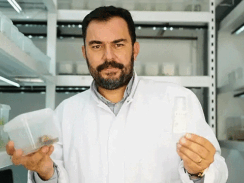 Çocukluk merakı bilimsel başarıya dönüştü! Diş otu bitkisinden kırışıklık karşıtı krem geliştirdi